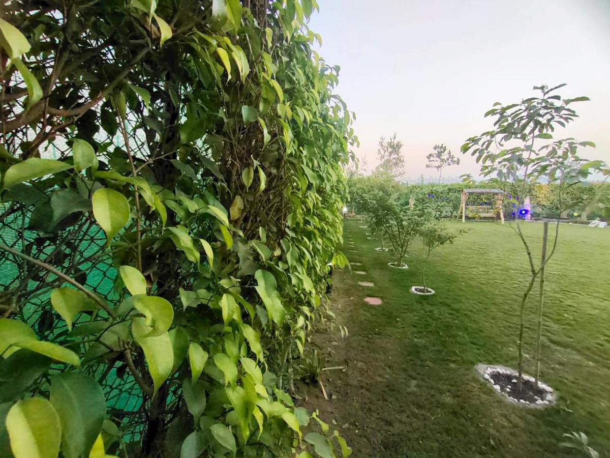 Shaw Estate-Farm House For A Small Parties-Jp Farm Greater Noida Eksteriør billede